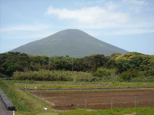 e0097770_20112515.jpg