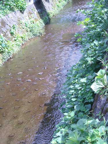 e0097770_20125385.jpg