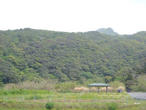 e0097770_20181597.jpg