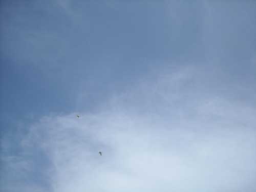 e0097770_20192594.jpg