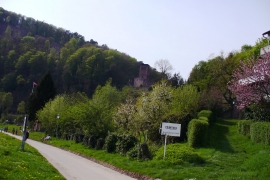 f0059671_2341310.jpg