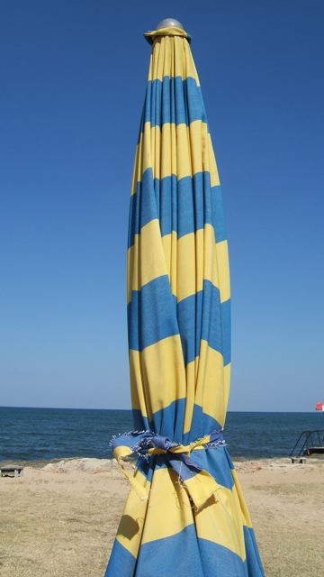 f0119071_91628.jpg