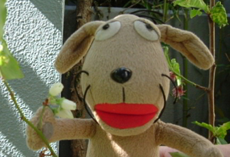 c0158573_1133725.jpg