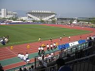 f0103873_12585520.jpg