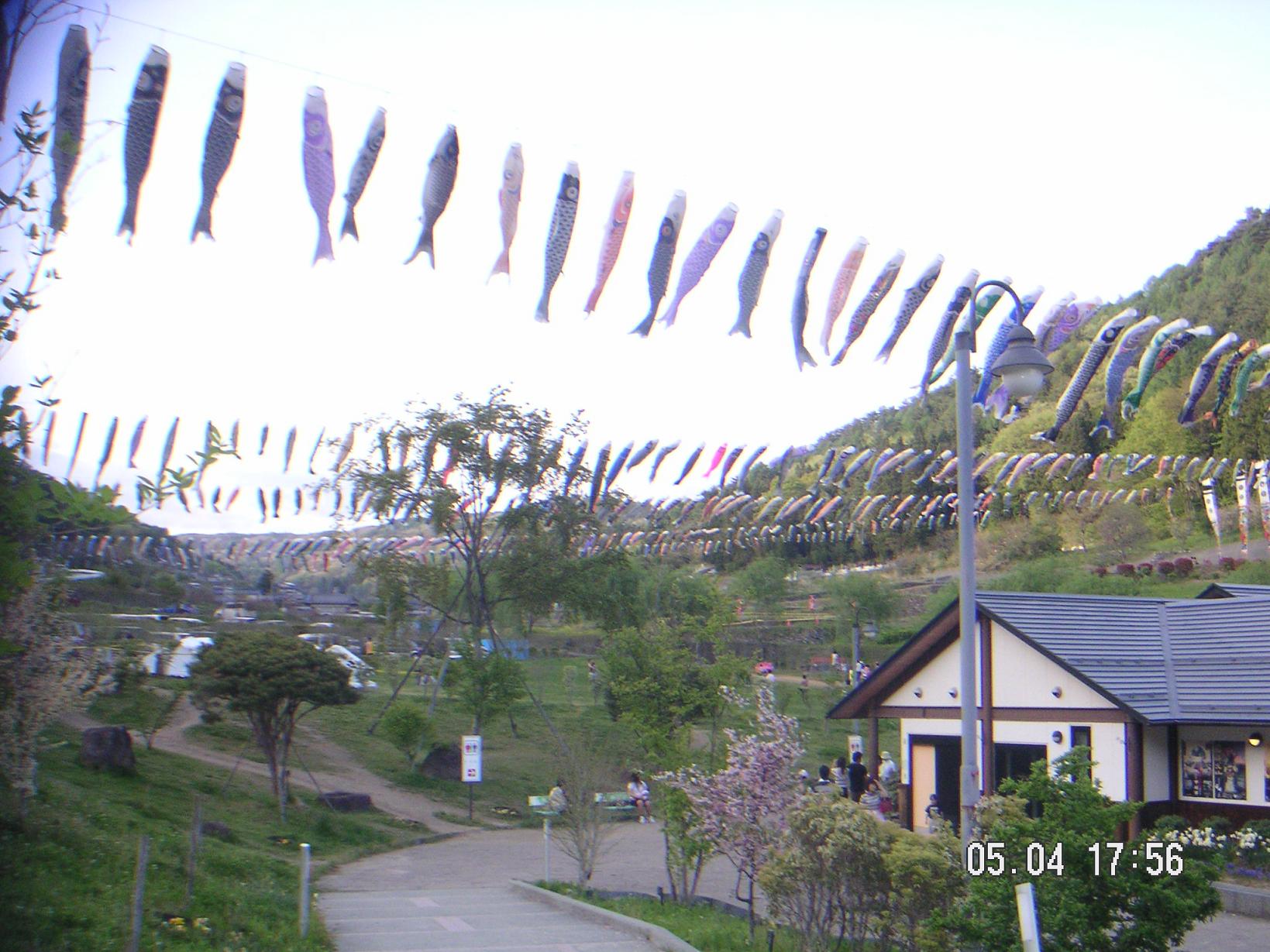 b0046078_22592414.jpg