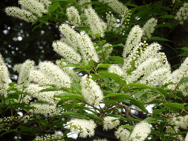 a0079880_22112736.jpg