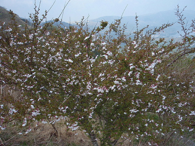 a0079880_2223817.jpg