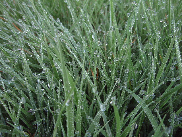 a0079880_2224133.jpg