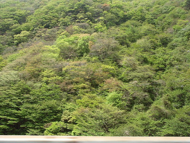 a0079880_22274237.jpg