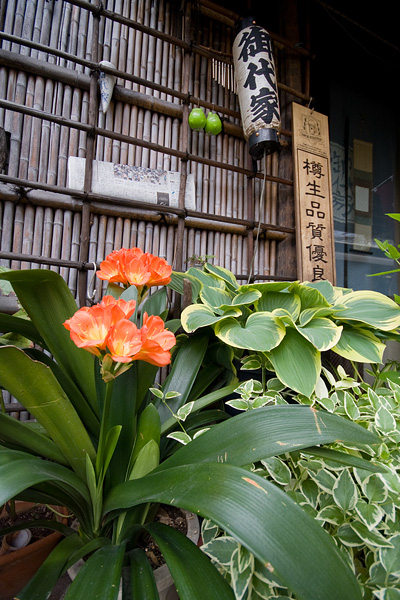 d0089281_845478.jpg