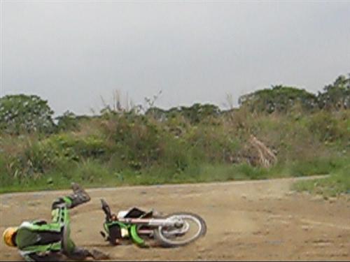 d0099181_20265446.jpg