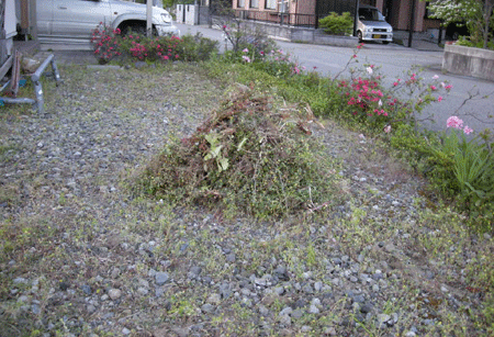 e0066883_20251749.gif