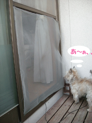 e0066883_20372162.gif