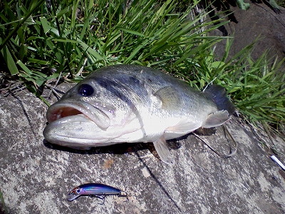 c0156489_1220412.jpg