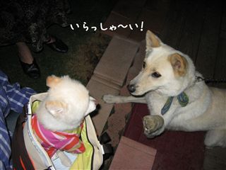 e0121589_22511082.jpg