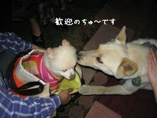 e0121589_2251225.jpg