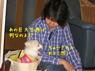 e0121589_2253191.jpg