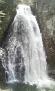 e0009391_1030455.jpg
