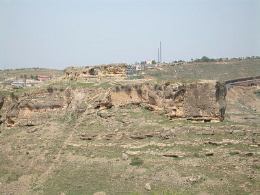 f0058691_2022681.jpg