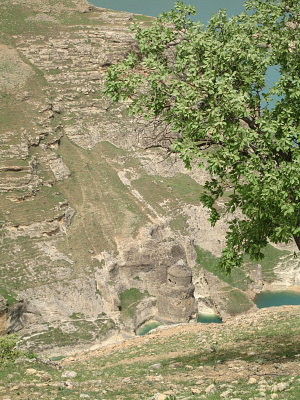 f0058691_20232373.jpg