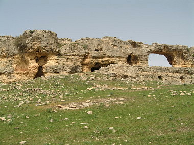 f0058691_20243599.jpg