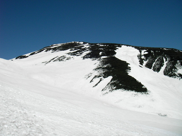 a0043193_1414673.jpg