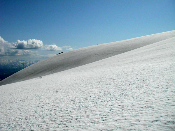 a0043193_1423216.jpg