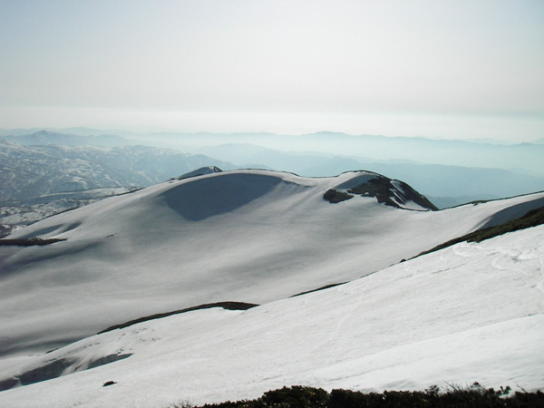 a0043193_142424.jpg