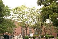 a0103293_19565641.jpg