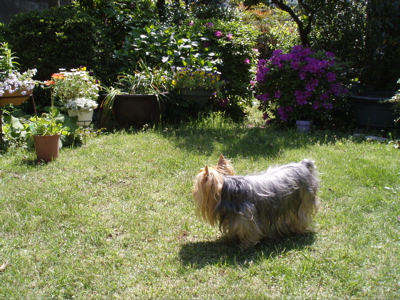 f0130894_20303881.jpg