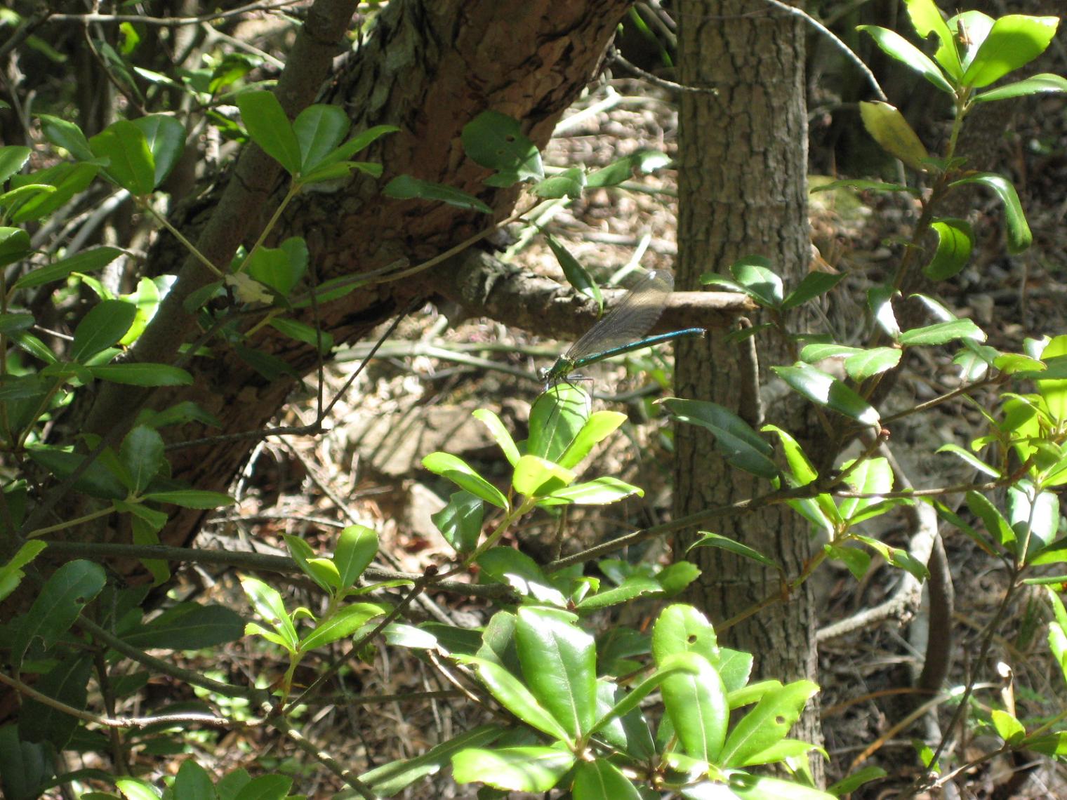 f0013998_1783411.jpg