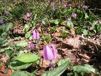 e0122199_1524299.jpg