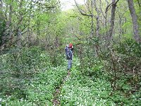 e0122199_168453.jpg