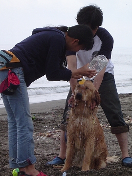 d0080601_1043319.jpg