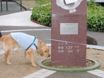 d0080601_232335.jpg