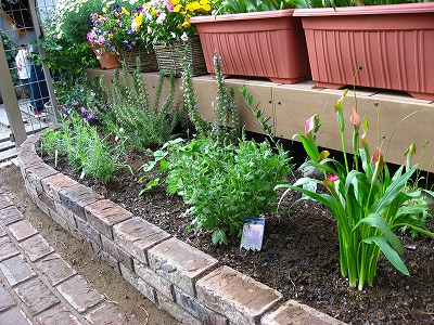 e0014801_23153100.jpg
