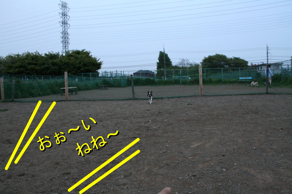 d0070702_2211620.jpg