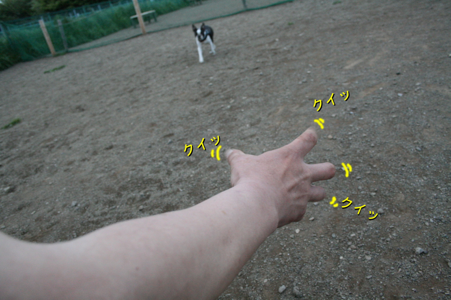 d0070702_221371.jpg