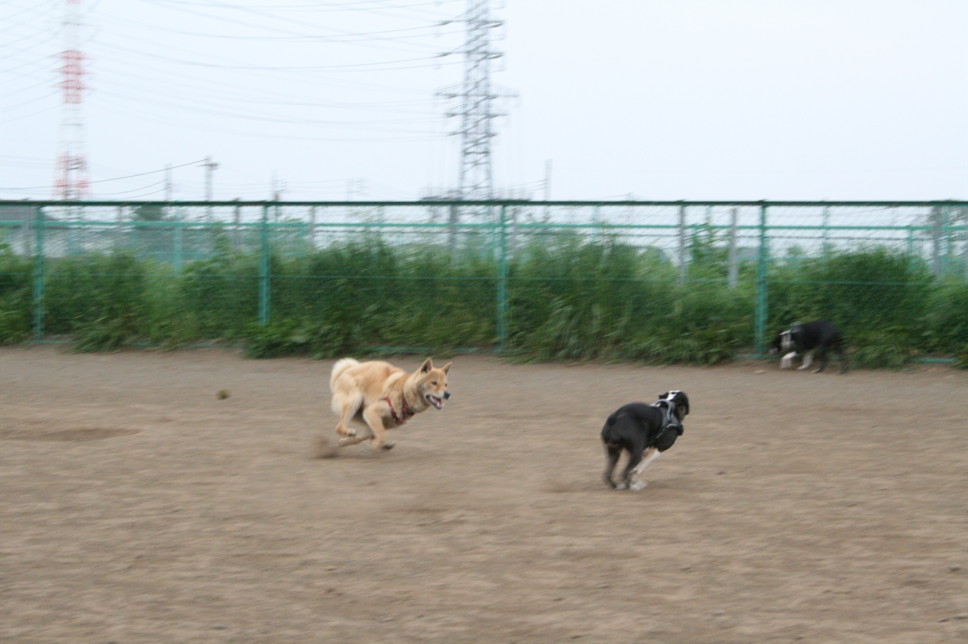 d0070702_22152458.jpg