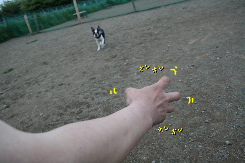 d0070702_221556.jpg