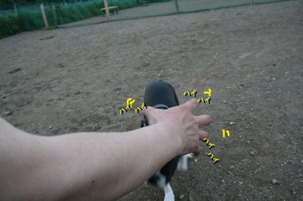 d0070702_223944.jpg