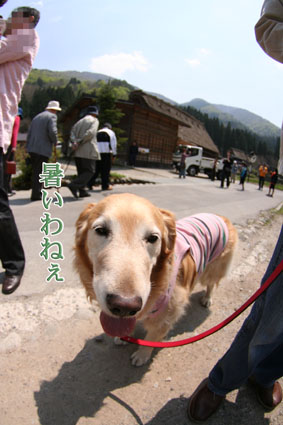 e0072606_21472254.jpg