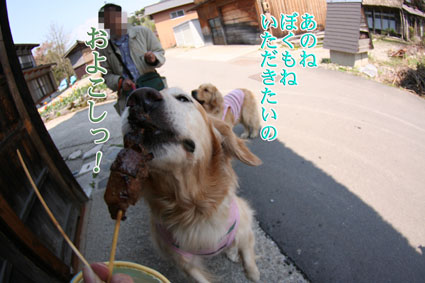 e0072606_2150417.jpg