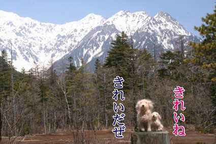 e0072606_2273562.jpg