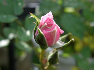 b0061107_23285977.jpg