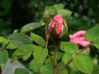b0061107_23302344.jpg