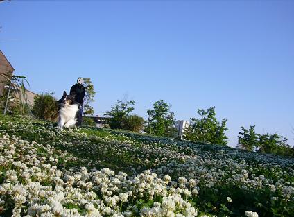 e0130008_21293041.jpg