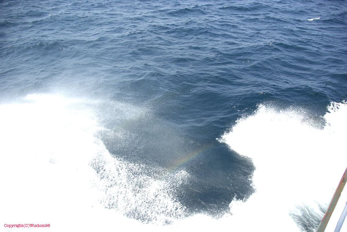 e0142611_932164.jpg