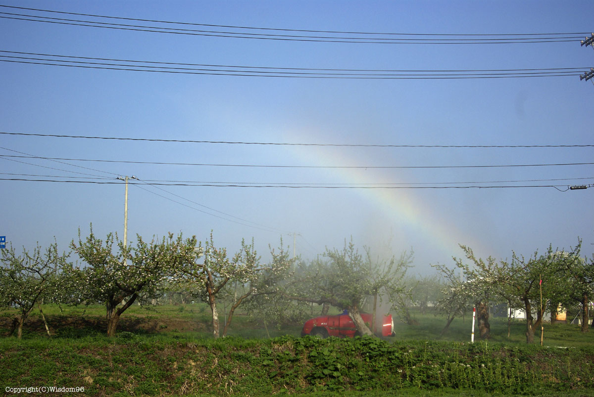 e0142611_9473875.jpg