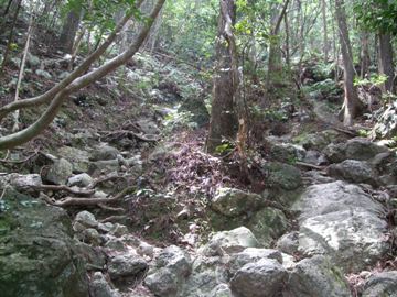 d0122515_182174.jpg